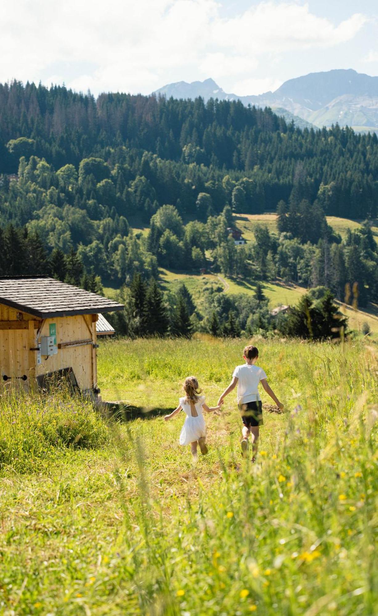 Hotel Alpen Valley, Mont-blanc 4*